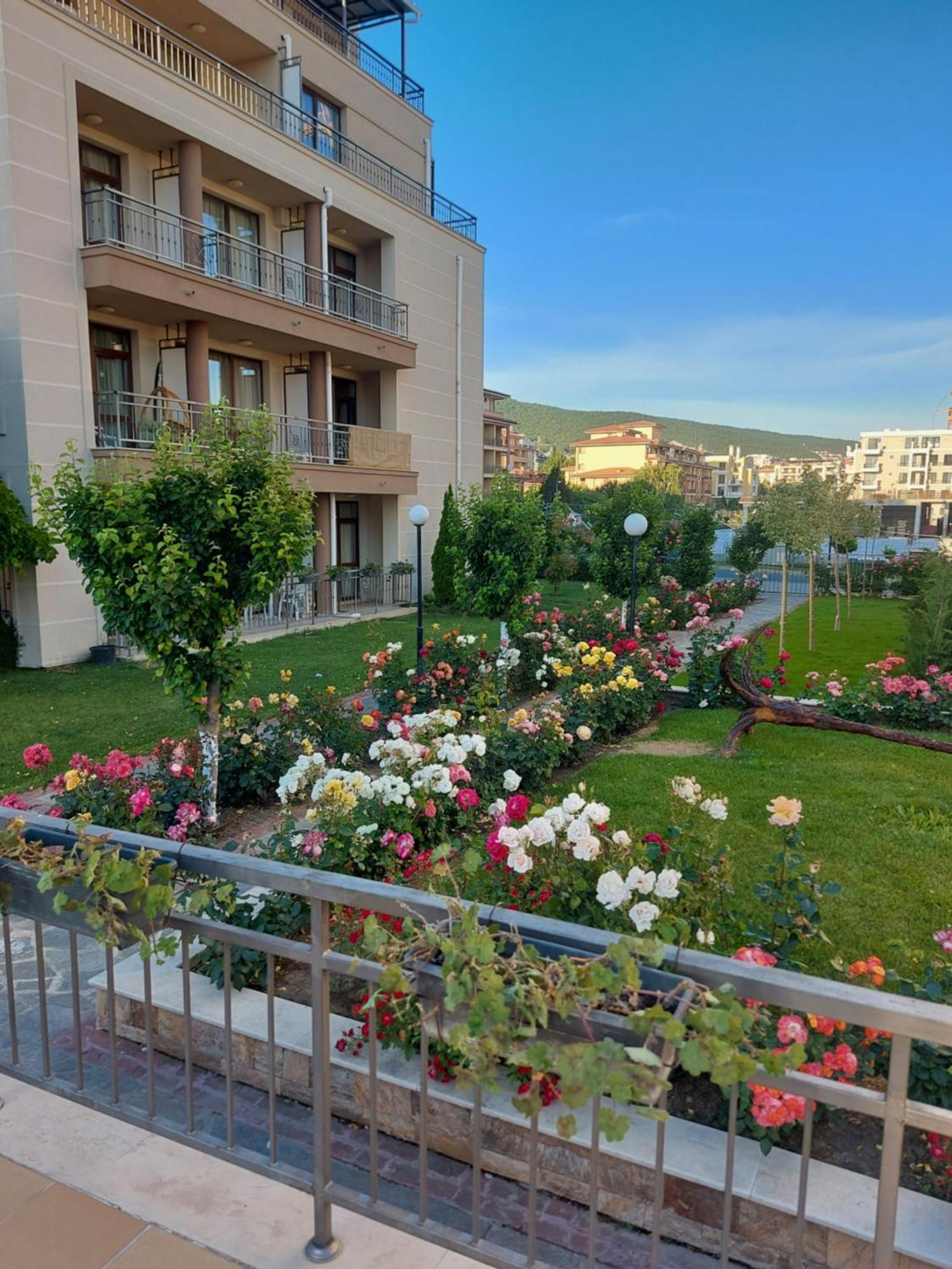 Charming Studio In Sorrento Sole Mare Sveti Vlas Exteriör bild